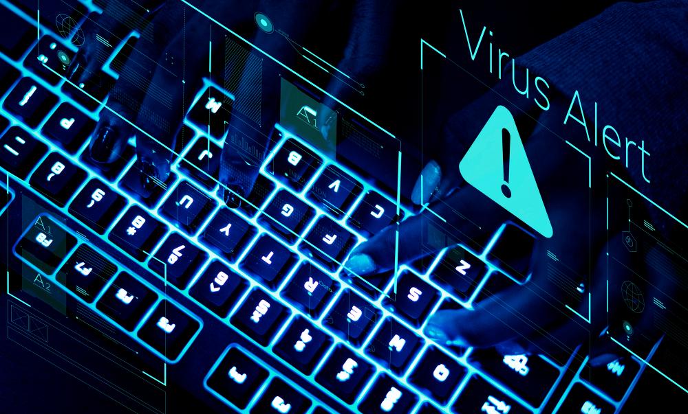 Professional Malware and Virus Removal Service